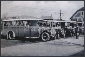 cca 1935 Budapesti Helyiérdekű Vasutak Rt. autóbusz flottája Szentendrén, ismeretlen forrásról készített modern nagyítás, 10x15 cm