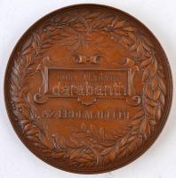 Schwartz István (1851-1924) 1885. "Országos Általános Kiállítás Budapesten 1885 / Doby Jenőnek ...