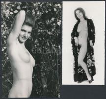 cca 1970 Lányok, asszonyok a régmúltból, 4 db finoman erotikus vintage fénykép, 13,5x17 cm és 15x8 cm között / 4 erotic photos, 13,5x17 - 15x8 cm