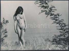 cca 1970 Kora tavaszi képek, 3 db finoman erotikus vintage fénykép, 18x24 cm és 21x15 cm között  / 3 erotic photos, 18x24 - 21x15 cm