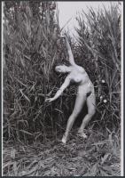 cca 1980 Titkot susog a nádas, finoman erotikus fénykép, korabeli negatívról készült modern nagyítás, 25x17,5 cm / erotic photo, 25x17,5 cm