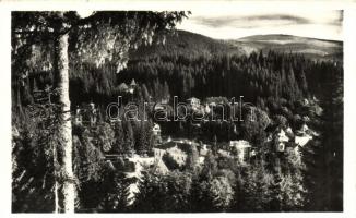 Borszék, Borsec; Templom, látkép, erdő, vízesés - 14 db jó állapotú képeslap / church, general view,...