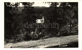 Borszék, Borsec; Templom, látkép, erdő, vízesés - 14 db jó állapotú képeslap / church, general view,...