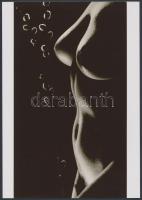 cca 1968 Szép formák dicsérete, finoman erotikus fénykép, korabeli negatívról készült modern nagyítás, 25x17,5 cm / erotic photo, 25x17,5 cm