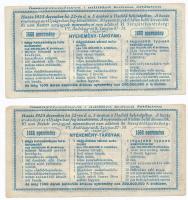 1925. "Hadirokkantak, Hadiözvegyek, Hadiárvák Nemzeti Szövetsége Tárgysorsjátéka" sorsjegy...