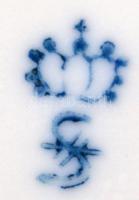 Sitzendorf virágos bonbonier, kézzel festett, jelzett, kis kopásnyomokkal, m: 11,5 cm