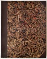 Vachot Imre: Országgyűlési szállás. Eredeti vígjáték 4 felvonásban. Pest, 1844. Geibel Károly. Félvá...