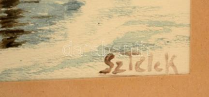 Sztelek jelzéssel: Havas táj kunyhóval. Akvarell, papír, üvegezett keretben 29×21 cm