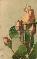 Rose, flower, litho s: C. Klein