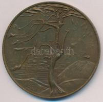 Kiss Nagy András (1930-1997) DN "Csontváry Tivadar" Br emlékérem ÁPV plasztiktokban (60mm)...