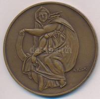 Kiss Kovács Gyula (1922-1984) DN "Michelangelo" Br emlékérem ÁPV plasztiktokban tájékoztat...