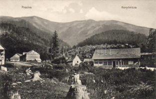 Korytnicza