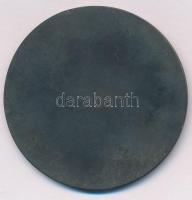 1959. "A Szakszervezeti Üdültetés 10-ik évfordulójára" fém emlékérem, eredeti tokban (60mm...