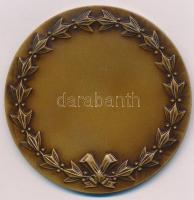 Iván István (1905-1968) DN "Városligeti Vajdahunyadvár" Br emlékérem (70mm) T:1-