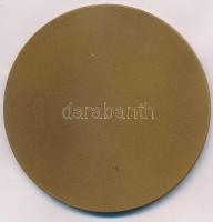 Iván István (1905-1968) "Budapest - Rákóczi Ferenc" Br emlékérem (80mm) T:2