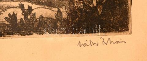 Zádor István (1882-1963): Jeruzsálem, rézkarc, papír, jelzett, üvegezett fa kereteben, kisebb lepatt...