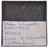 Austria DN "Adagio" Br plakett. Sign.:Stefan Schwartz (78x79mm) T:2 lyuk.
Austria ND &quo...