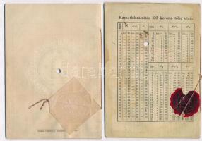 Debrecen 1943. "A Debreceni Első Takarékpénztár" betétkönyve + Szászváros 1909. " Szá...