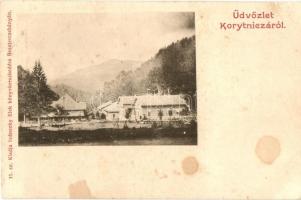 Korytnica, Látkép, villák, kiadja Ivánszky Elek / general view, villas (vágott / cut)