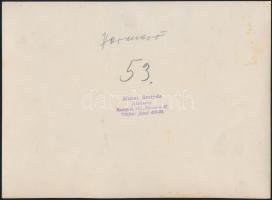 1930 Bp., Vérmező A Szent Imre-évre ünnepi miséje. Előtérben Bethlen Istvánnal. Macsi András felvéte...