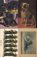 KUTYÁK képeslapgyűjtemény, 350 db régi lap / DOGS, collection of 350 old postcards
