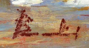 Olvashatatlan jelzéssel: Gyerekek a parton. Olaj, farost, 20×25 cm