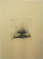 Magyar Nemzeti Galléria album 15 kézzel festett, számozott limómetszettel kortárs művészektől / Hung...