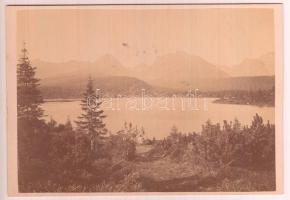 cca 1880 Divald Károly: Kárpátok (Tátra) A Csorba-tó / Divald: Carpathians (The High-Tatra) 16x11 cm