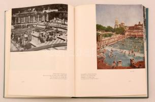 Farkas Károly dr., et alii (szerk.): Magyarország gyógyfürdői, gyógyhelyei és üdülőhelyei. Budapest,...