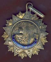 Dekoratív ezüst osztrák szabadkőműves érem / Austrian silver freemaison badge