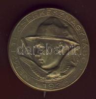 1926 Nemzeti Cserkész Nagytábor jelvény / National Scout Camp badge