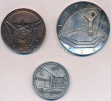 Vegyes: 1970. "Jászberény Hűtőgépgyár - Kiválló Vállalat 10" kétoldalas fém emlékérem (60m...