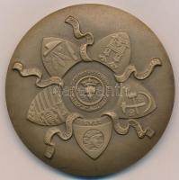 Csehszlovákia 1987. "20 éves a Kassai Éremgyűjtő Csoport 1967-1987" szlovák nyelvű kétolda...