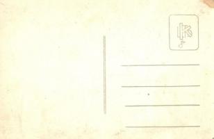 Sopron,  A Bányamérnöki és Erdőmérnöki főiskola valétáló akadémistáinak 'szalamander' mene...