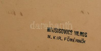 cca 1890 Gyula takarék pénztár és tér. Nagyméretű fotó. Mojsisovits Vilmos királyi főmérnök pecsétjé...