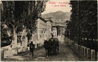 Trento, Viale Fresina e Monte Gazza / street, mountain, carriage