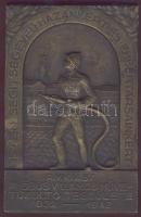 1942 Phöbus Villamos Művei Tűzoltó Testület bronz-plakett sign: Fehér J. / Fire-service brass plaquette