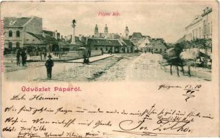 1899 Pápa, tér, szobor, kiadja Goldberg Gyula (EB)