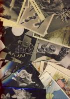 35db virág és játékos képeslap az 50-60-as évekből