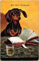 'Der Herr Professor!' / dachshund dog, art postcard, humour (Rb)