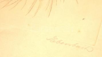 Johan Daniel Ebersbach (1822-1900): Spániel. Rézkarc, papír, jelzett, szakadásokkal, 20×17 cm