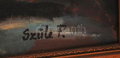 Szüle jelzéssel: Ülő női félakt. Olaj, falemez, antik keretben, 60×50 cm