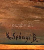 Spányi jelzéssel: Halászó gólya. Olaj, vászon, keretben, 50×74 cm