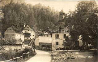 Wildalpen Steiermark, Anton Kollers Gasthof zum brauen Hirschen / restaurant, photo