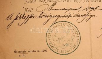 1892 Hajózási engedély, Budapest Fő-és Székesfőváros, viseltes szélekkel, 31x24cm