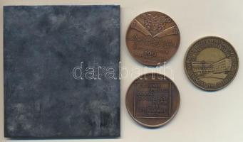 DN "KPVDSZ - 50 éves hűséges szakszervezeti tagságért KPVDSZ Központi Vezetősége" ezüstözö...