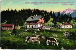 Sonnwendstein, Friedrich Schüler Alpenhaus (Rb)