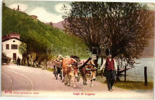 Lugano, Lago / lake, ox cart (EK)