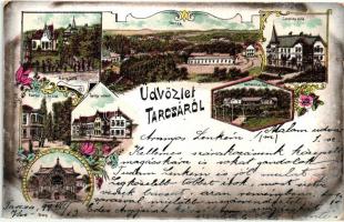 1899 Tarcsa, Tatzmannsdorf; Carolina és Mária villa, Schweitzi ház, Gyógyudvar, Forrás épület / villas, spa, floral, Art Nouveau litho