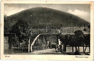 Técső, Tiacevo, Tiachiv; Nereszen hegy, vashíd, kiadja Szabó Lipót / mountain, iron bridge (fa)